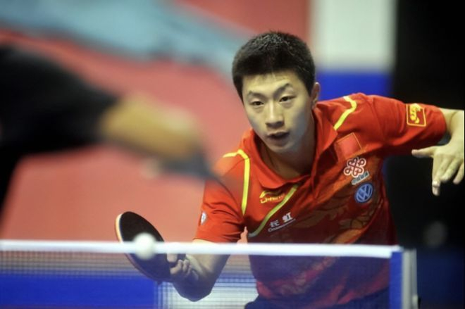 灰熊未来布 灰熊未来布